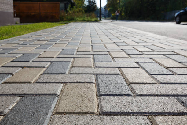Best Local Driveway Pavers  in Lake Wazeecha, WI