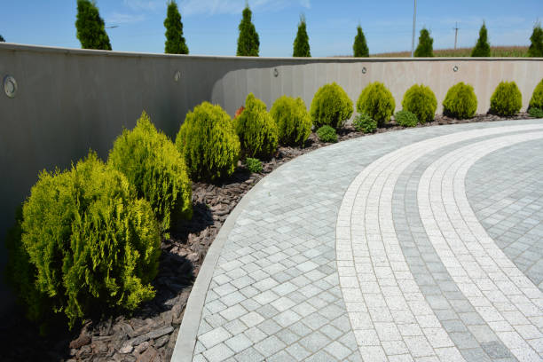 Best Cobblestone Driveway Pavers  in Lake Wazeecha, WI